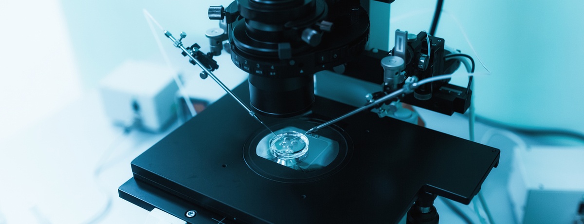 IVF laboratórium